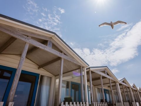 Landal Strandhuisjes Wijk aan Zee - Beverwijk - Image N°2